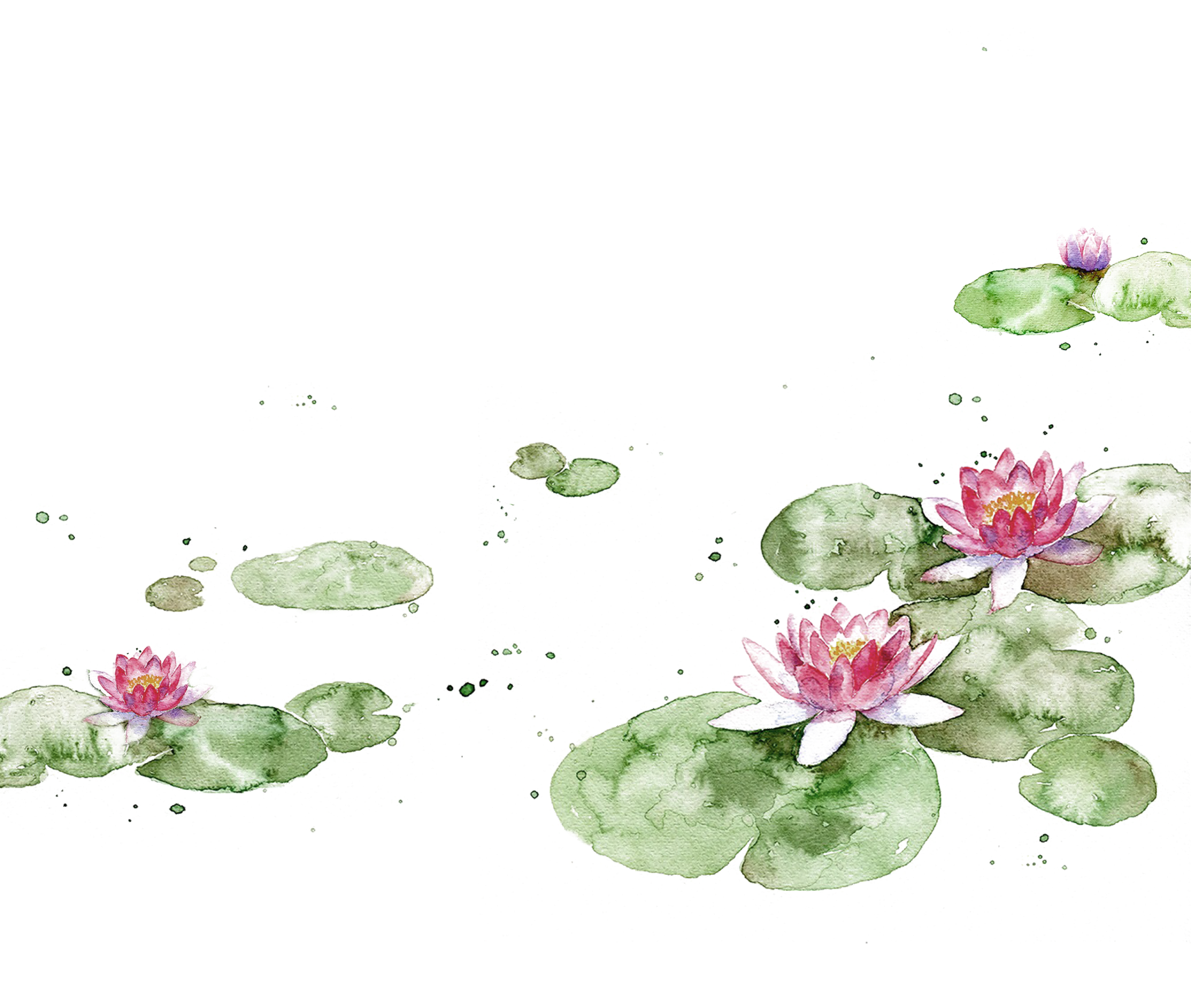 1751965054898486.png 1751965054898486.png